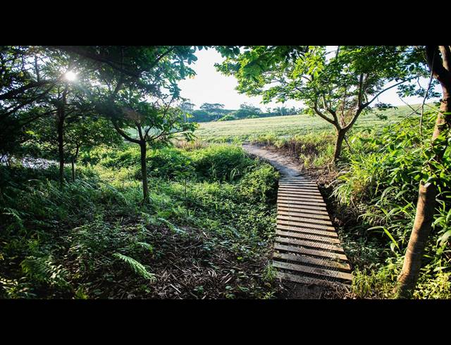 2HA VACANT LAND FOR SALE IN FAIRVIEW ESTATES